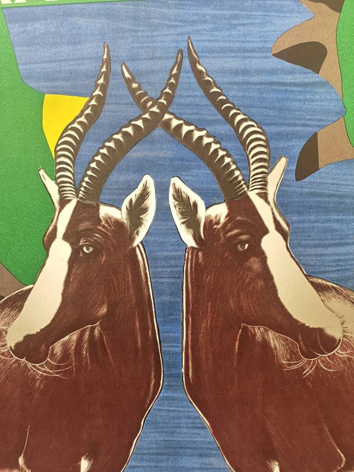 Vintage 1970s Tierpark Berlin Original Zoo Poster Advertising Of An Anteloppe - Image 8