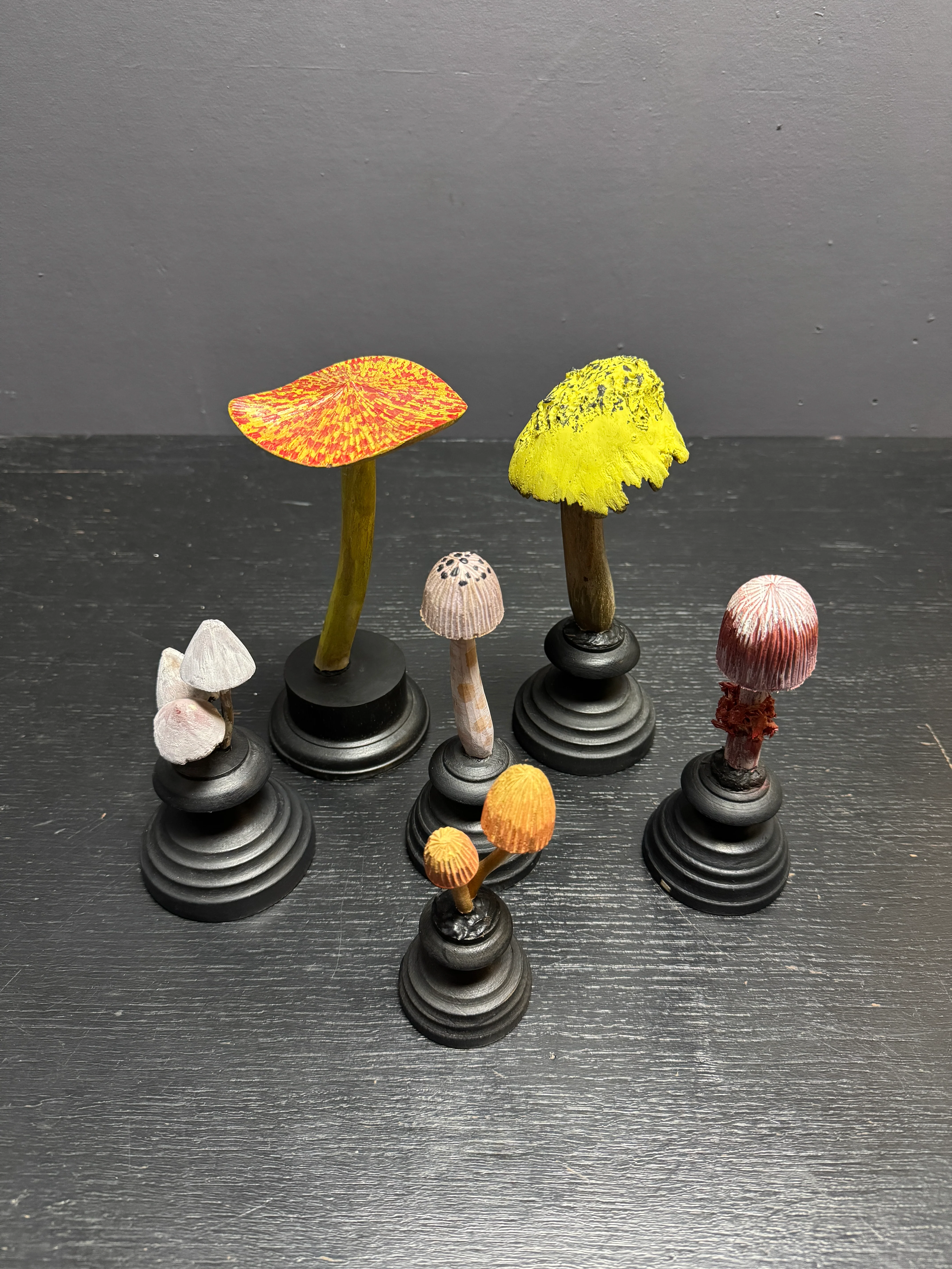 Mycology Early 1900s Hallucinogenic Mushroom / Fungus Specimens