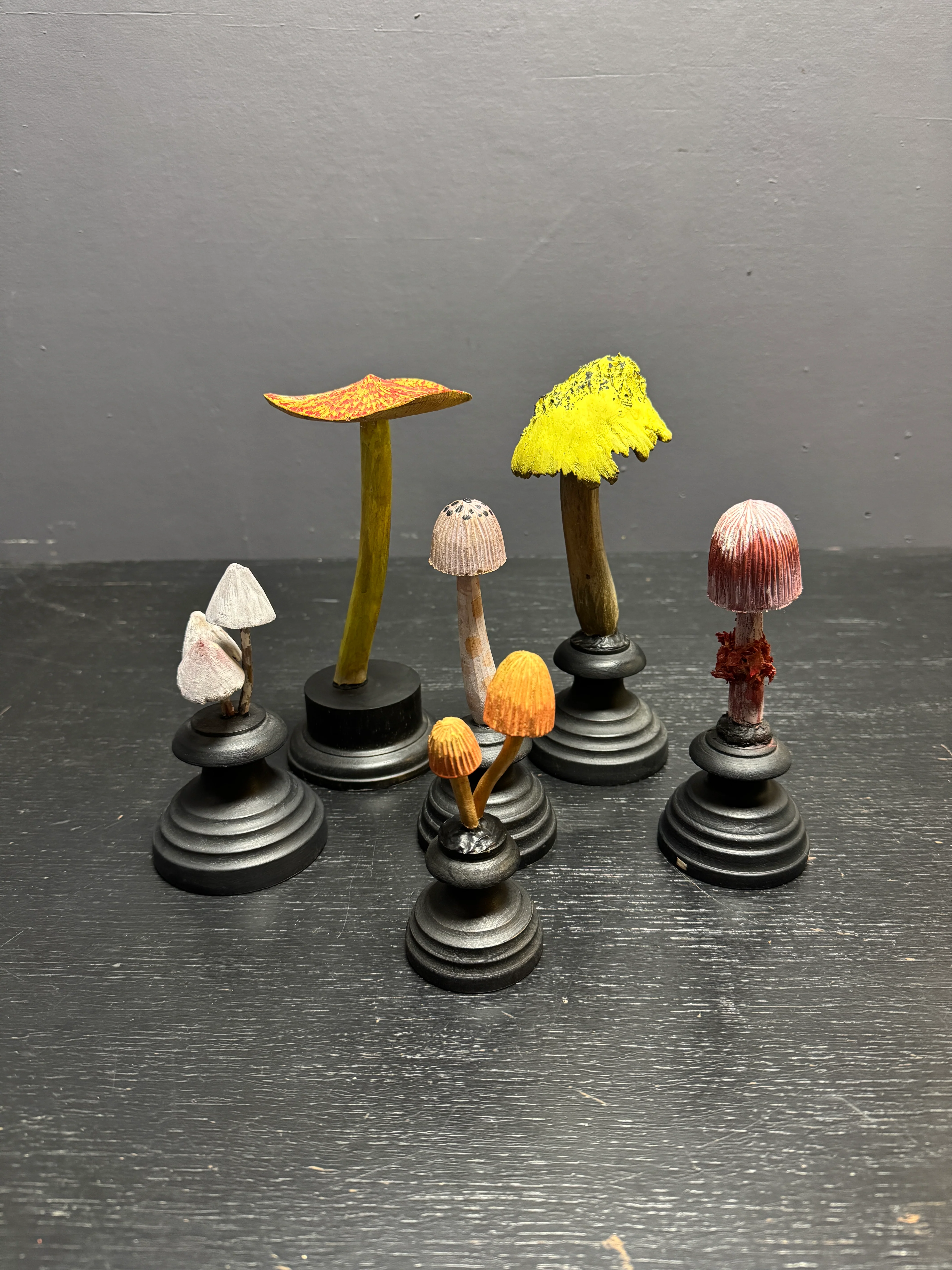 Mycology Early 1900s Hallucinogenic Mushroom / Fungus Specimens - Image 2