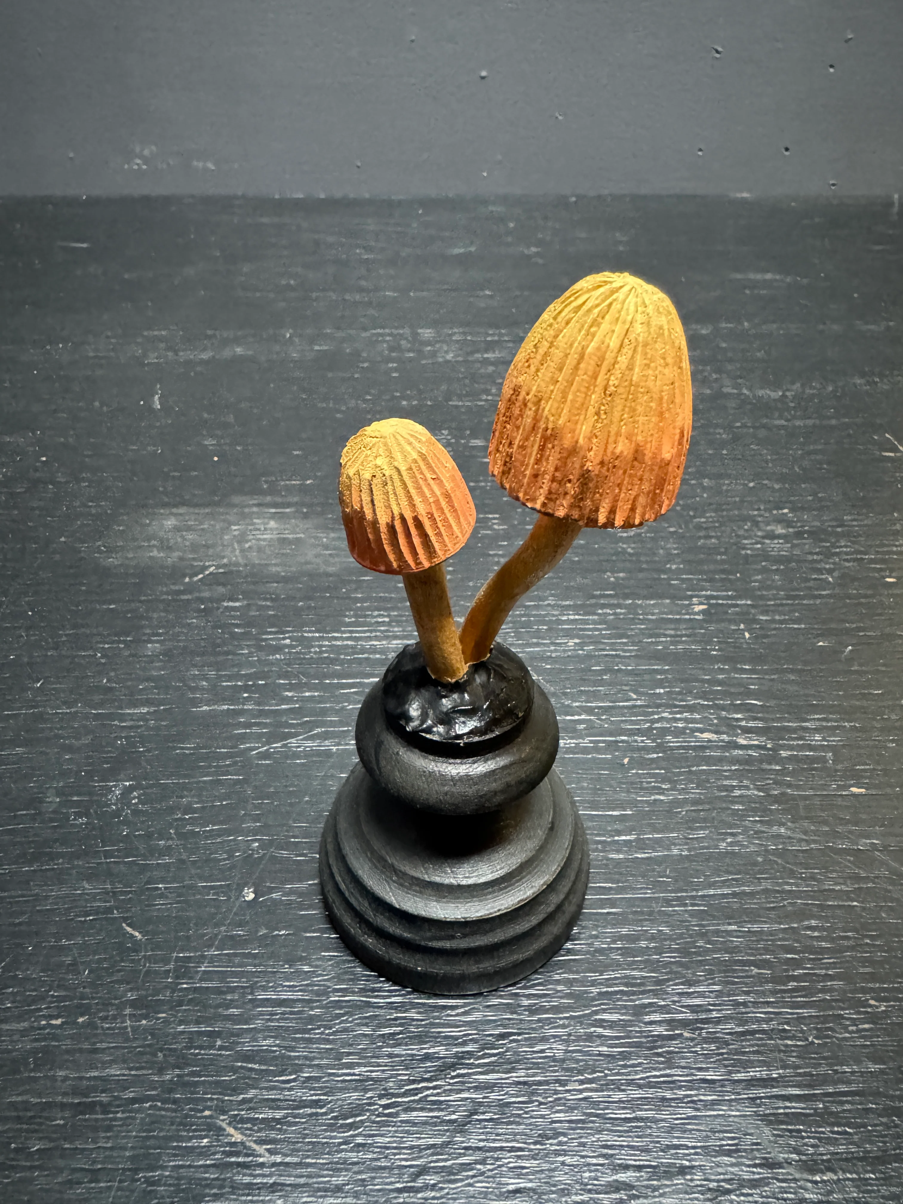 Mycology Early 1900s Hallucinogenic Mushroom / Fungus Specimens - Image 3