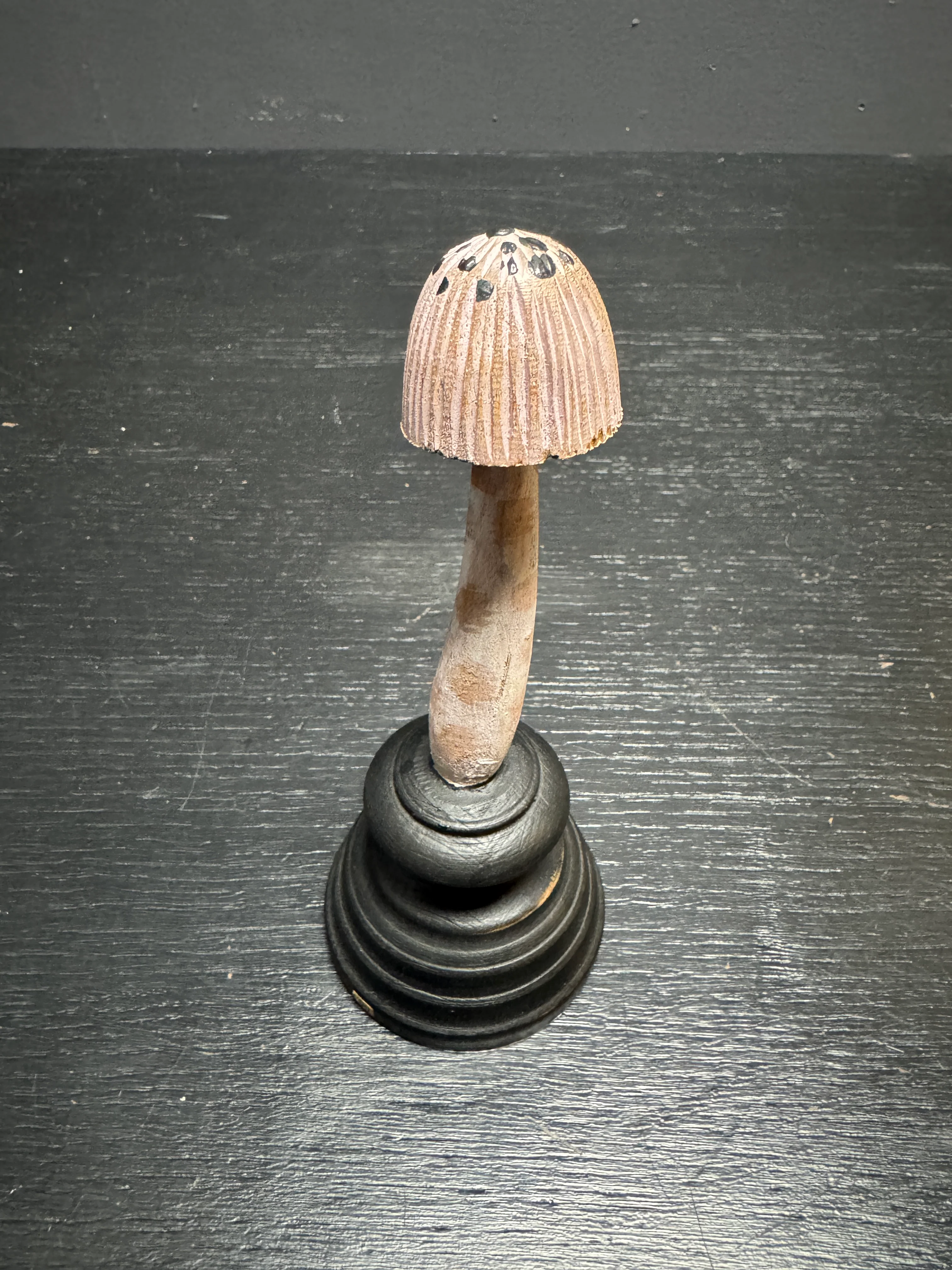 Mycology Early 1900s Hallucinogenic Mushroom / Fungus Specimens - Image 6