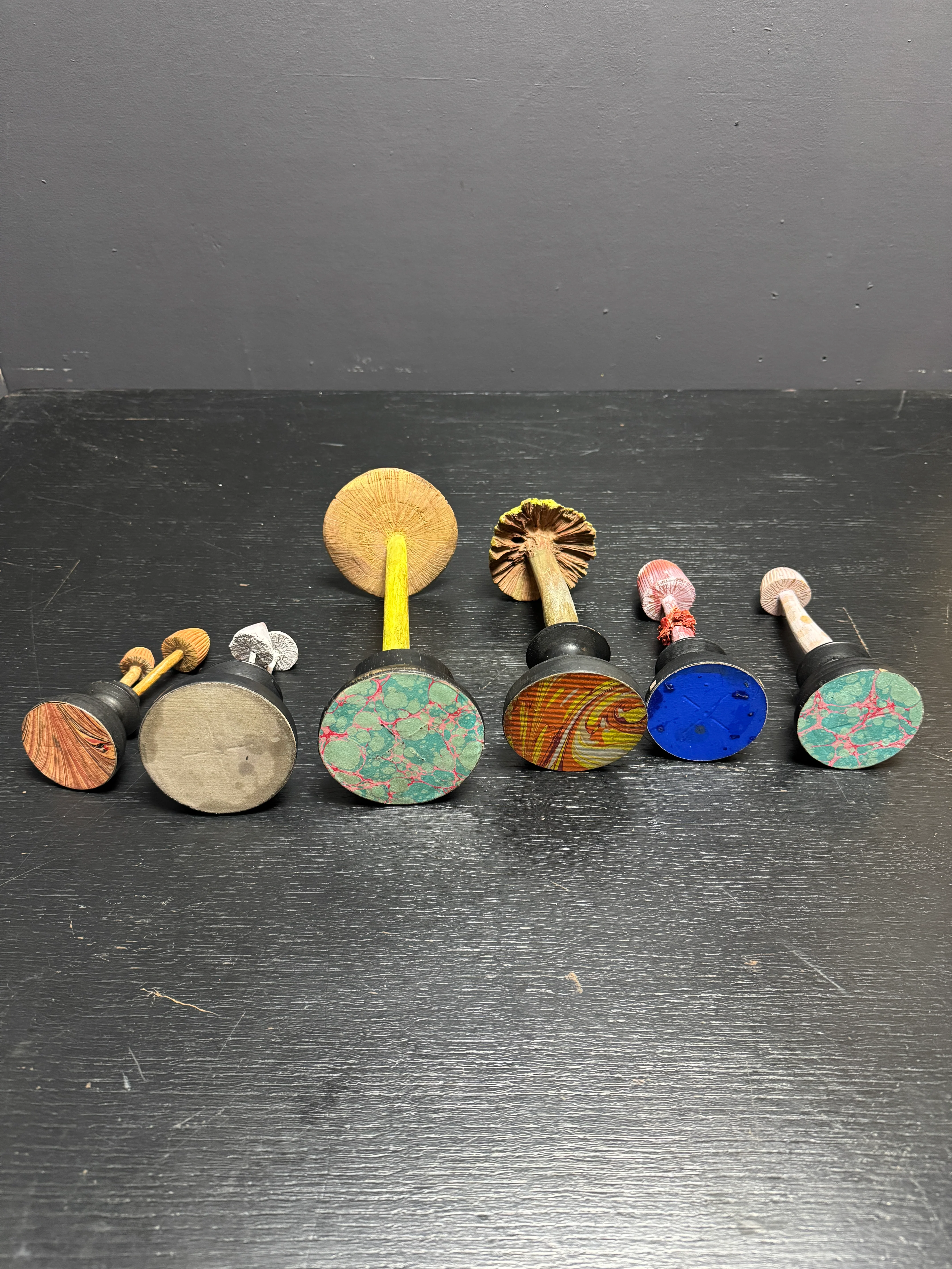 Mycology Early 1900s Hallucinogenic Mushroom / Fungus Specimens - Image 9