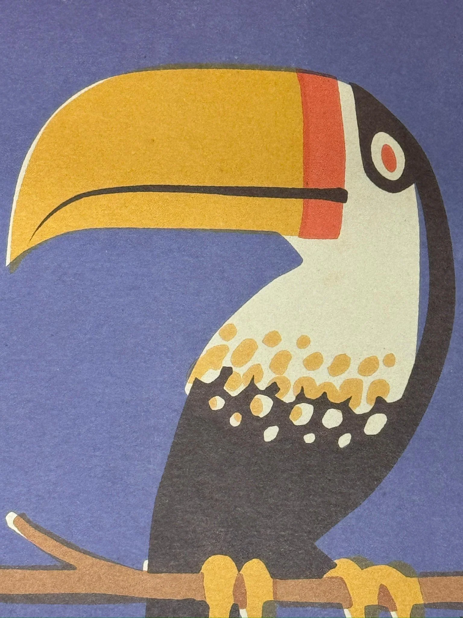 Limited Edition Czech Match Box Art Poster 173 of 240 Zoo Praha Toucan - Image 4