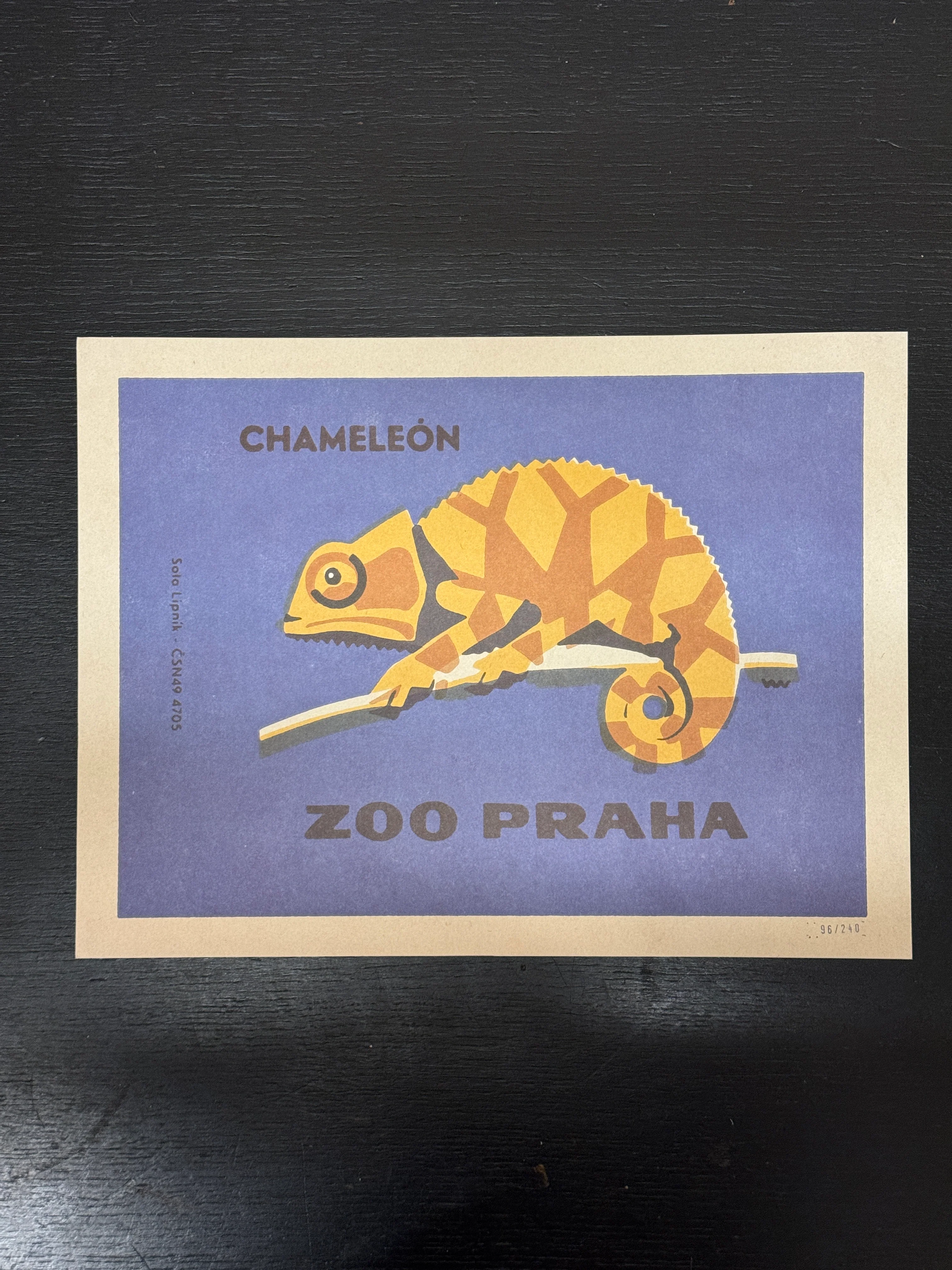 Limited Edition Czech Match Box Art Poster 96 of 240 Zoo Praha Chameleon