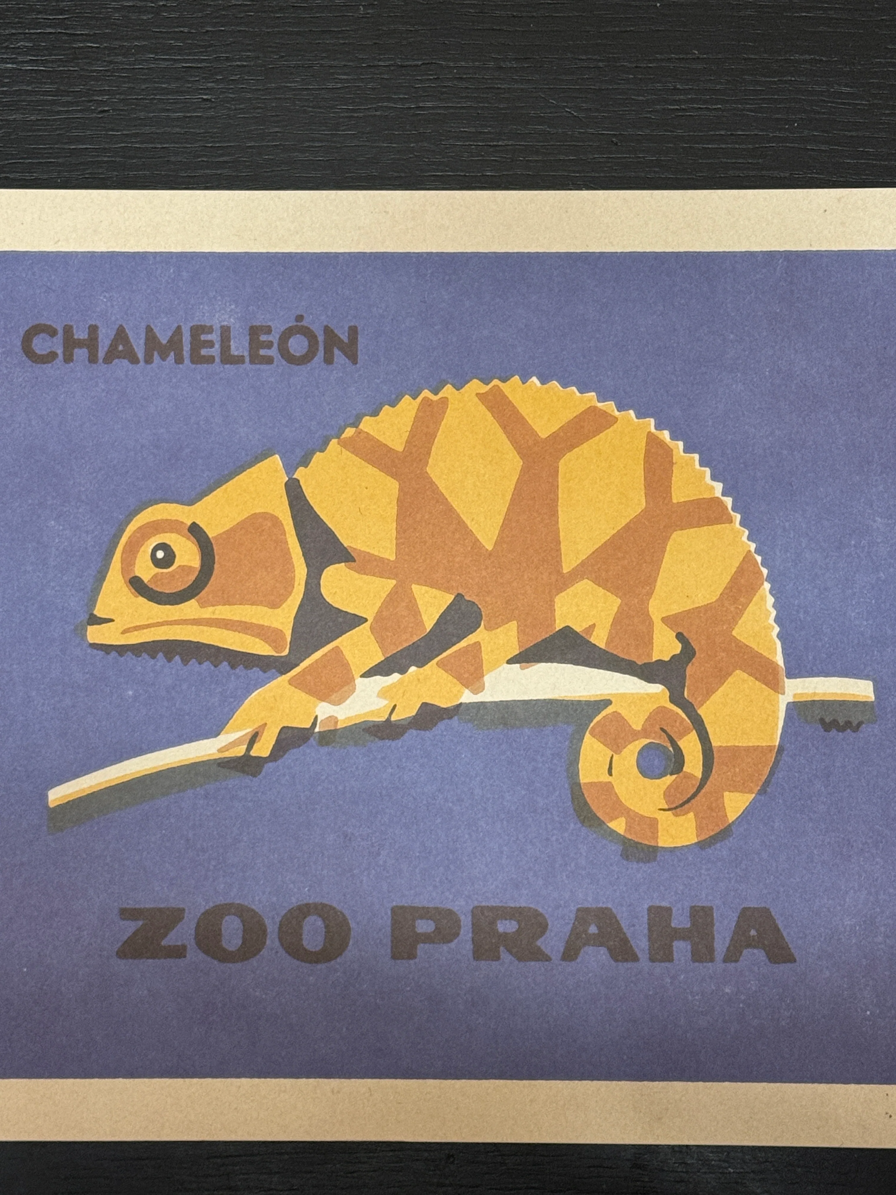 Limited Edition Czech Match Box Art Poster 96 of 240 Zoo Praha Chameleon - Image 3
