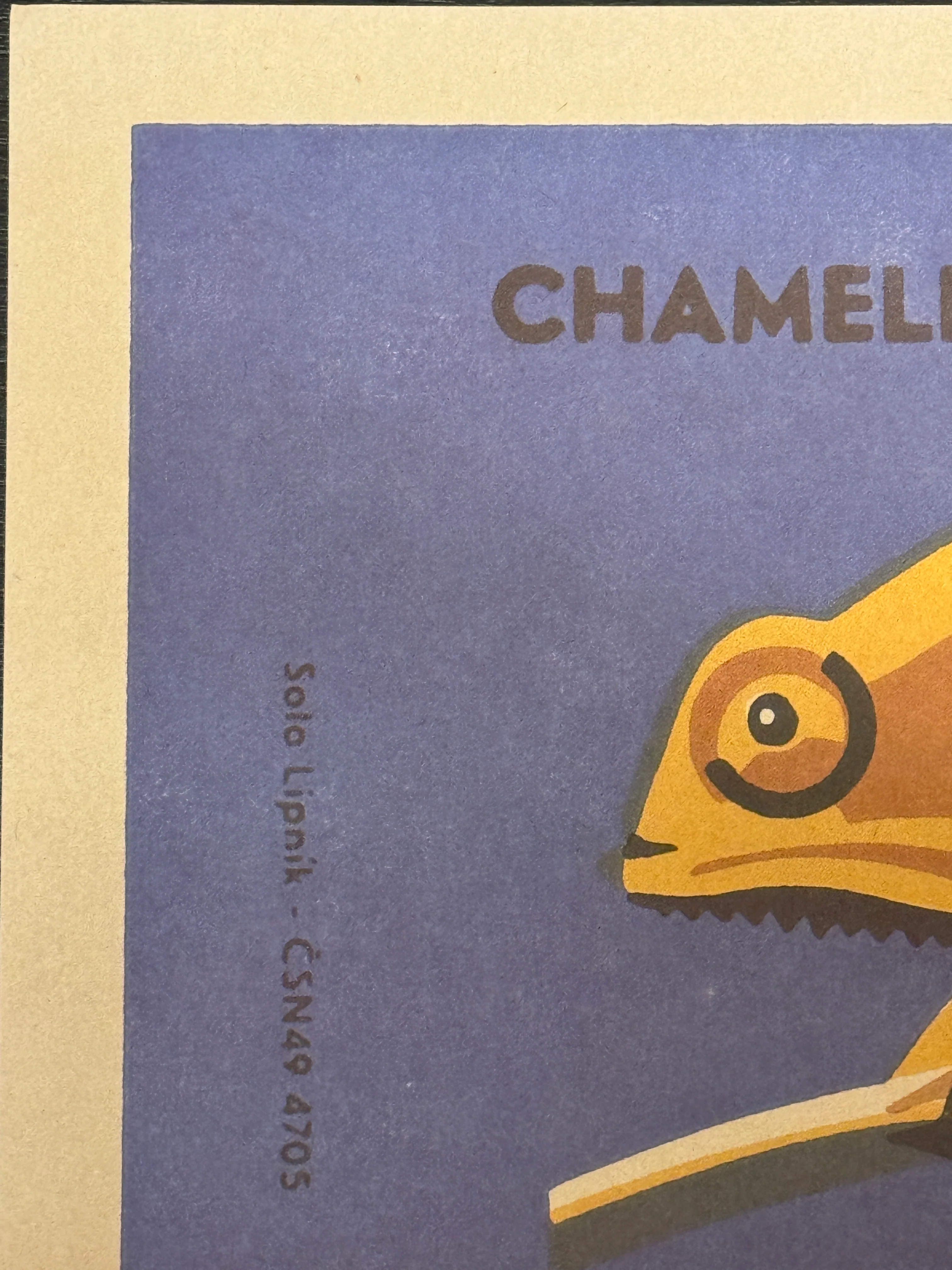 Limited Edition Czech Match Box Art Poster 96 of 240 Zoo Praha Chameleon - Image 4