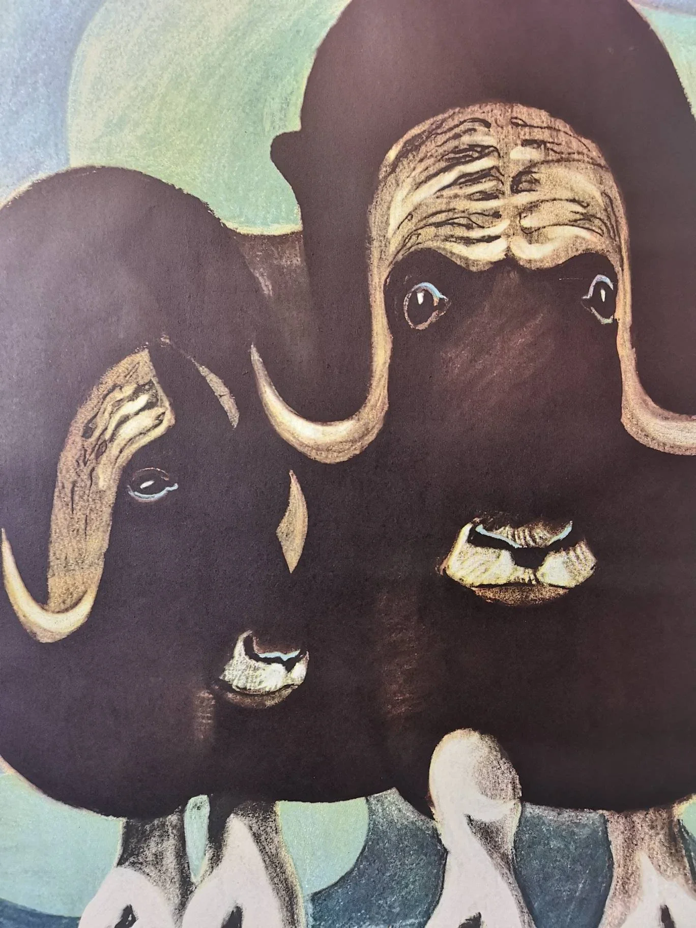 Vintage 1960s Tierpark Berlin Original Zoo Poster Advertising Of A Pair Of Musk Oxen - Image 7