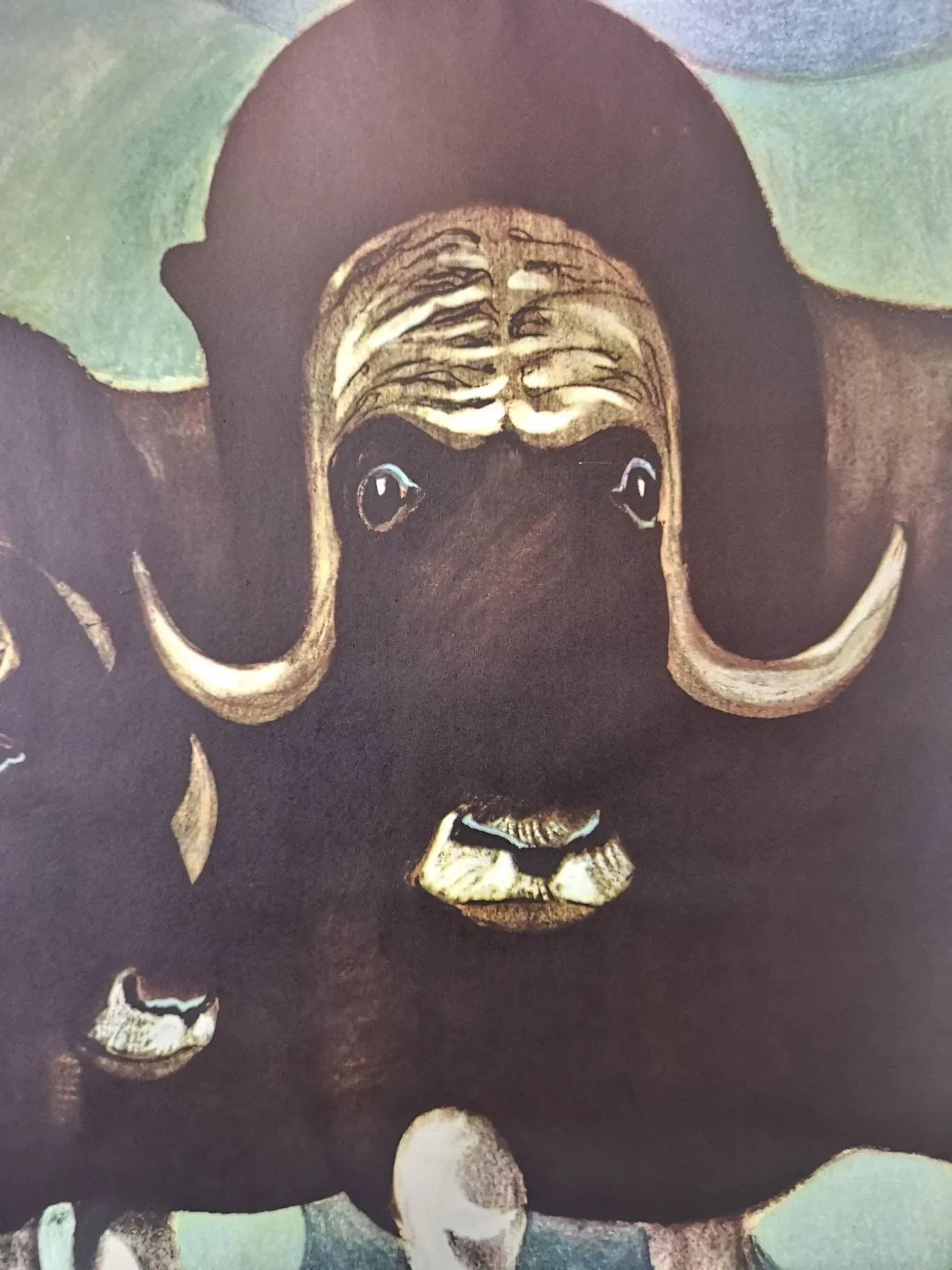 Vintage 1960s Tierpark Berlin Original Zoo Poster Advertising Of A Pair Of Musk Oxen - Image 8