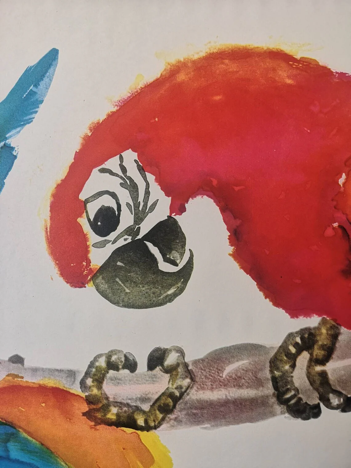 Vintage 1960s Tierpark Berlin Original Zoo Poster Advertising Of Macaw Parrots - Image 7