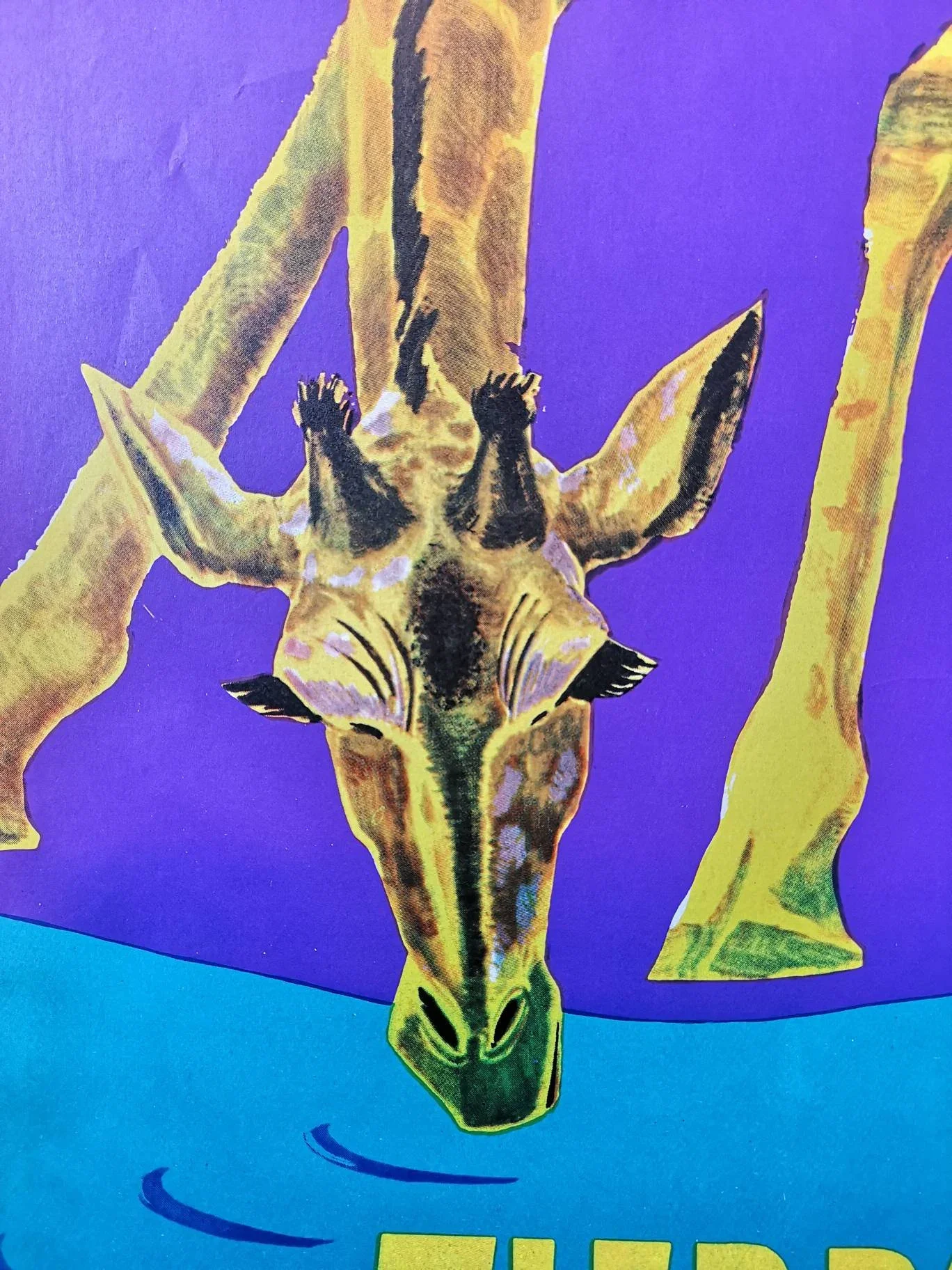 Vintage 1970s Tierpark Berlin Original Zoo Poster Advertising Of A Giraffe - Image 7