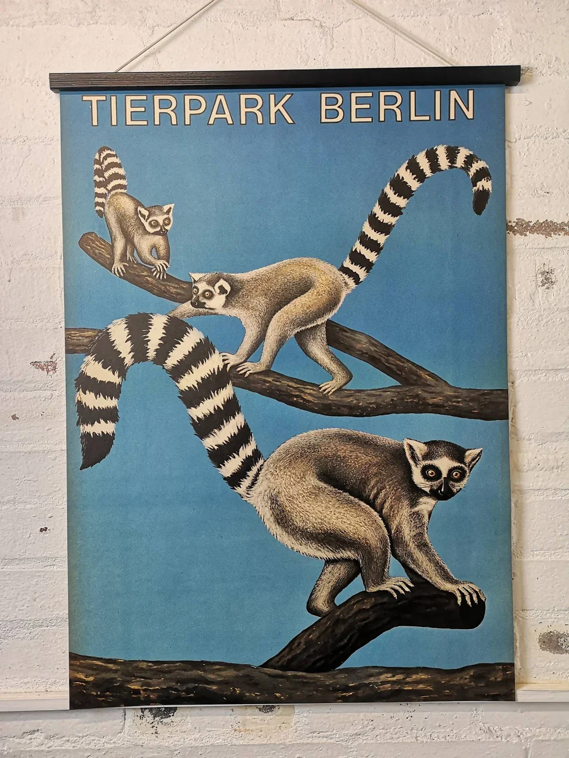 Vintage 1970s Tierpark Berlin Original Zoo Poster Advertising Of Lemars - Image 2