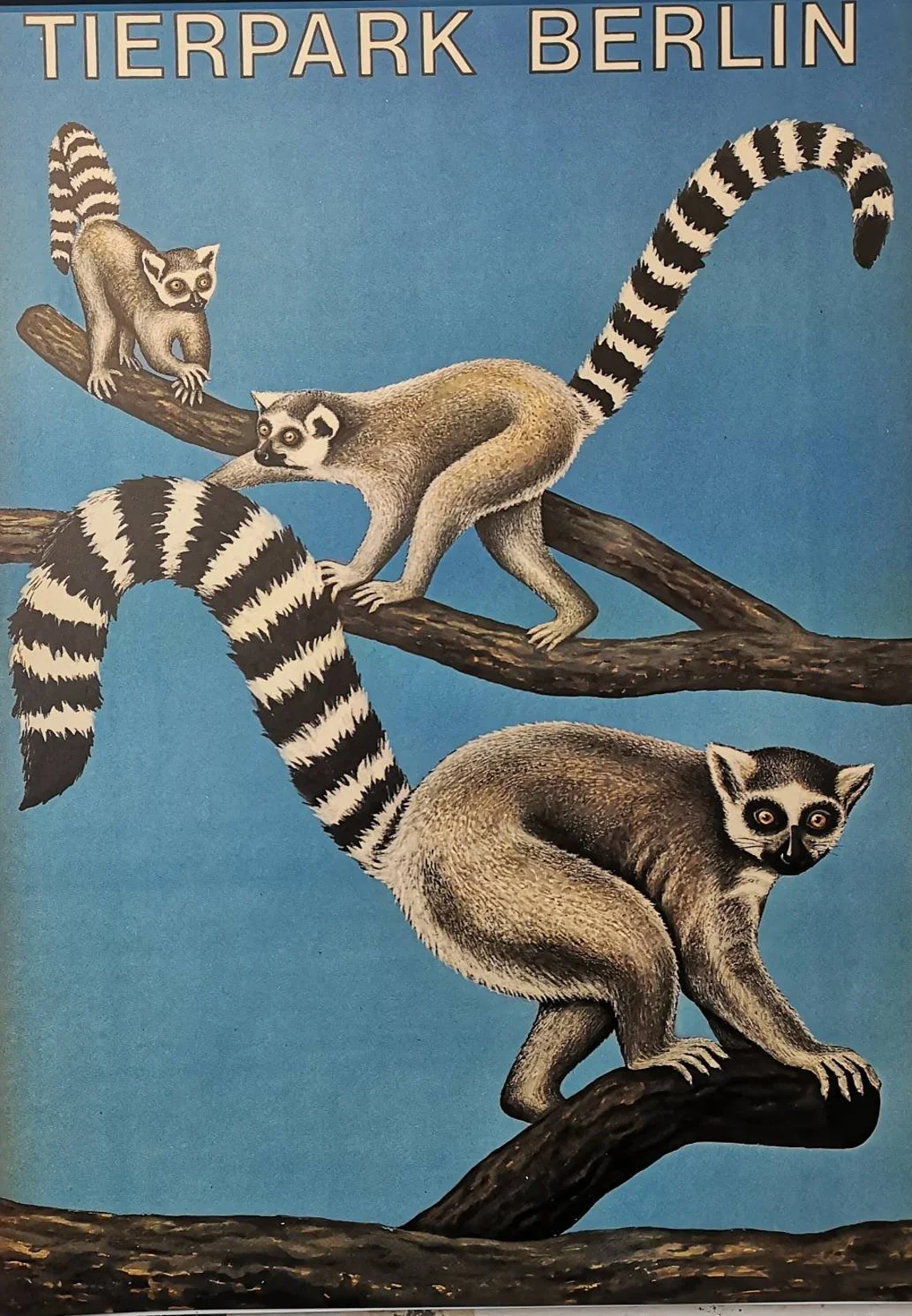 Vintage 1970s Tierpark Berlin Original Zoo Poster Advertising Of Lemars - Image 3