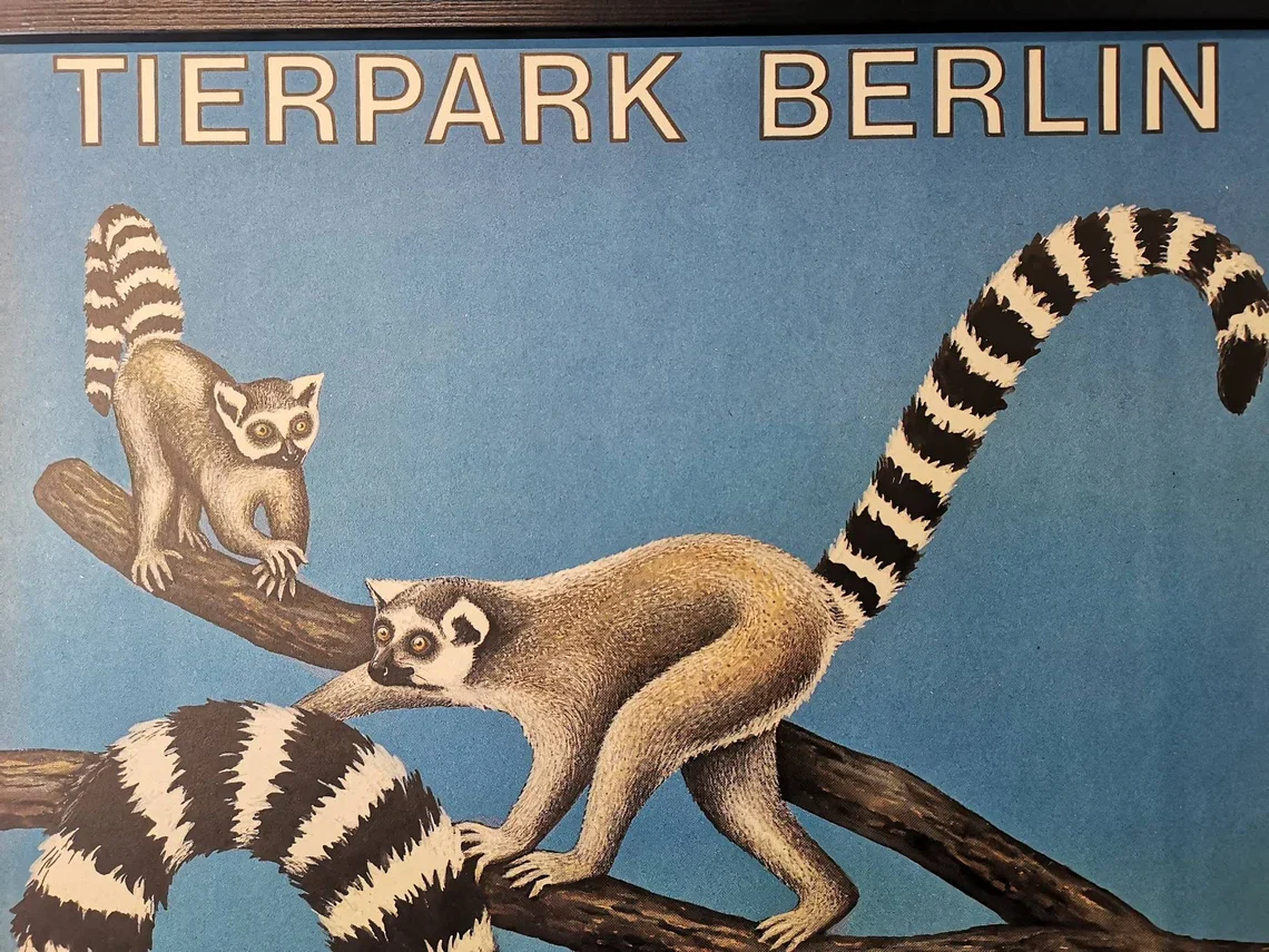 Vintage 1970s Tierpark Berlin Original Zoo Poster Advertising Of Lemars - Image 7