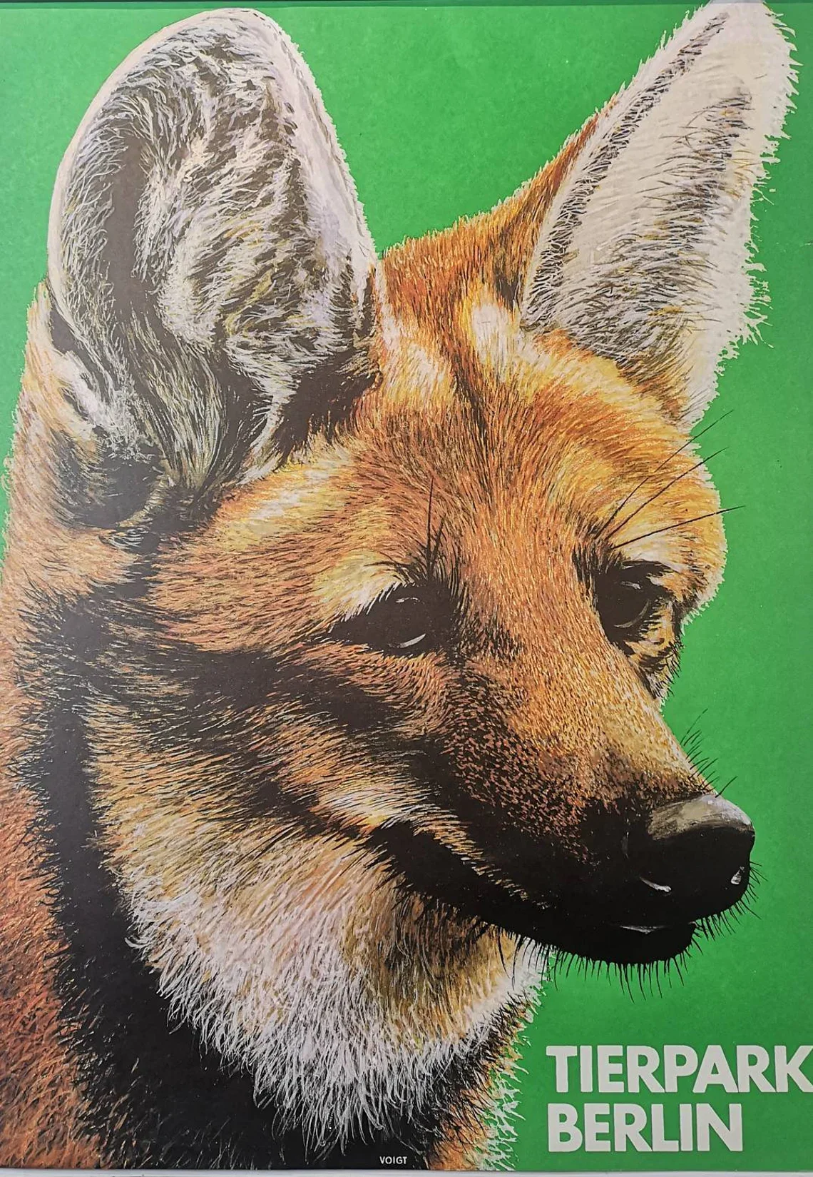 Vintage 1980s Tierpark Berlin Original Zoo Poster Advertising Of A Fox - Image 3