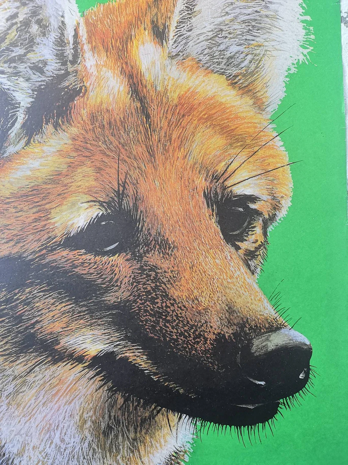 Vintage 1980s Tierpark Berlin Original Zoo Poster Advertising Of A Fox - Image 7