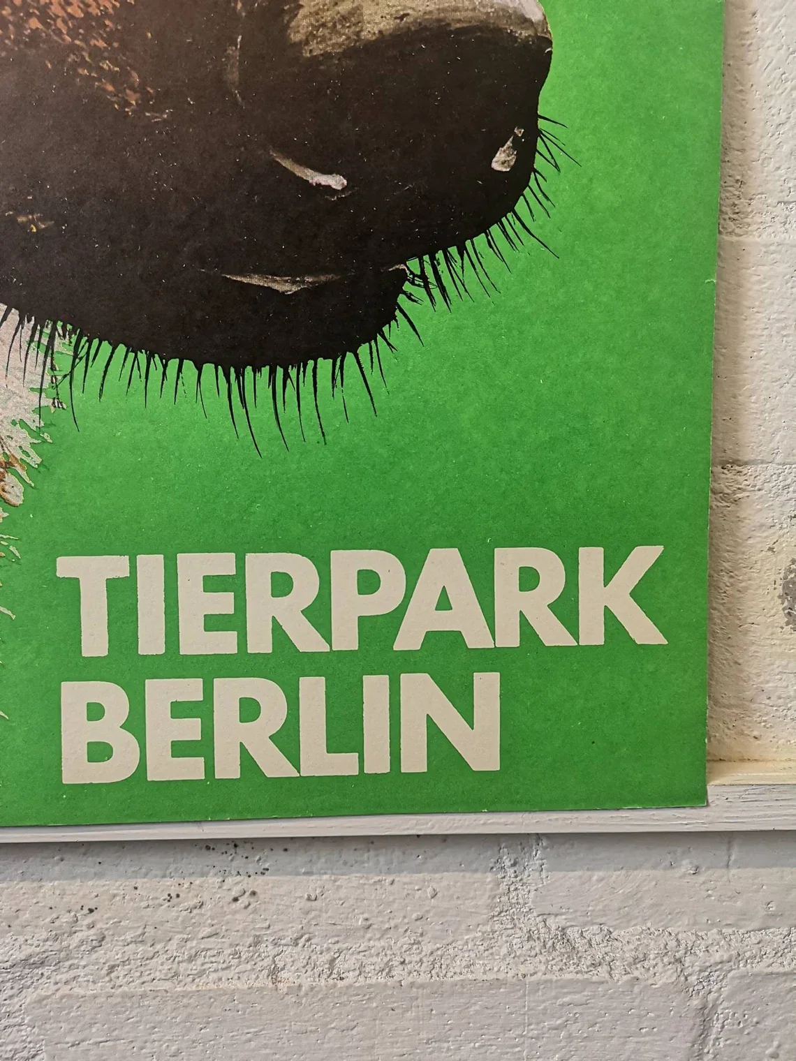 Vintage 1980s Tierpark Berlin Original Zoo Poster Advertising Of A Fox - Image 9