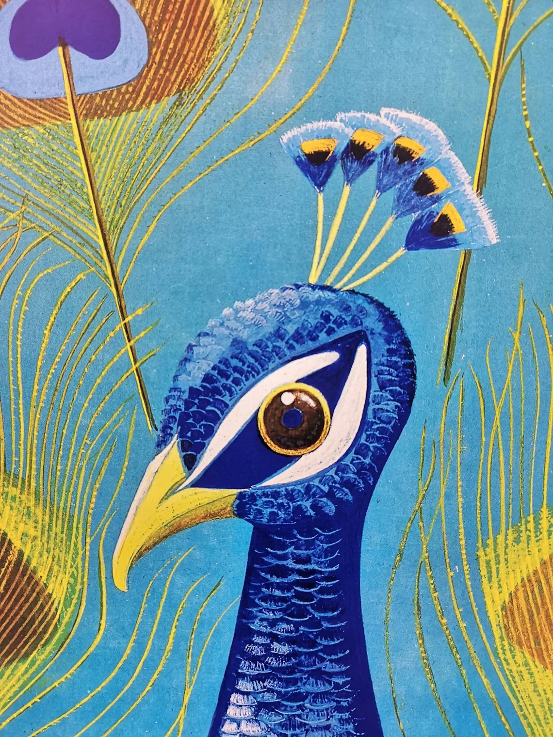 Vintage 1980s Tierpark Berlin Original Zoo Poster Advertising Of A Peacock - Image 8