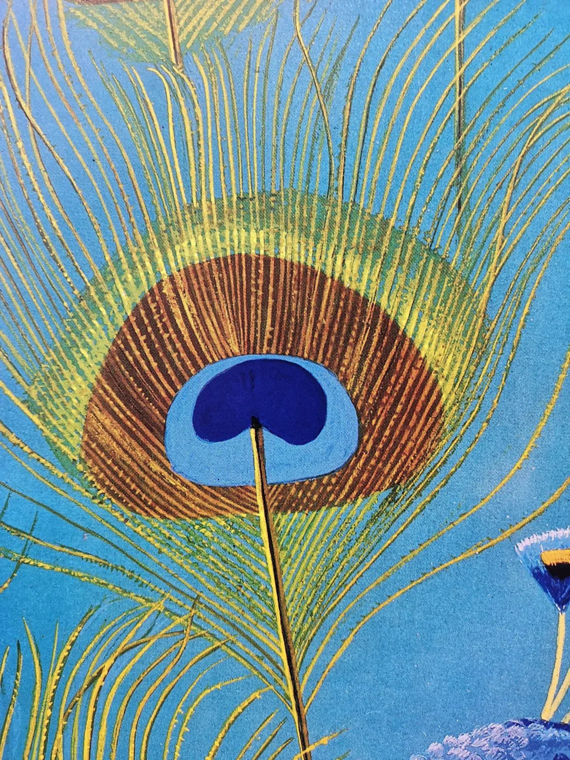 Vintage 1980s Tierpark Berlin Original Zoo Poster Advertising Of A Peacock - Image 9